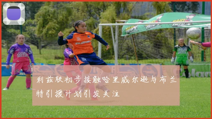 利兹联初步接触哈里威尔逊与布兰特引援计划引发关注