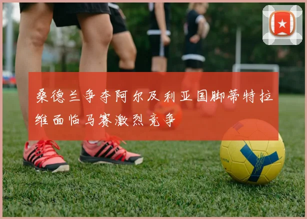 桑德兰争夺阿尔及利亚国脚蒂特拉维面临马赛激烈竞争