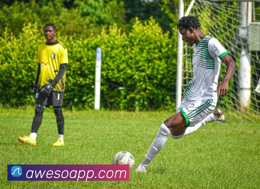 未来规划